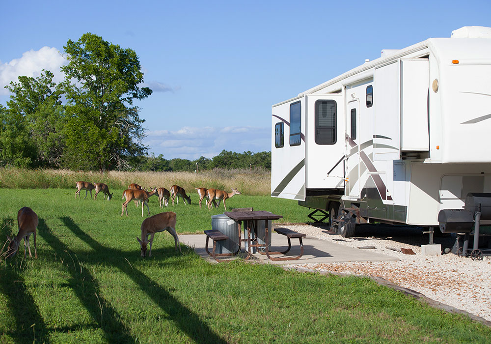 RV Sites